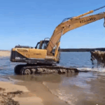 En las últimas horas se realizó una nueva apertura de la Laguna de Rocha
