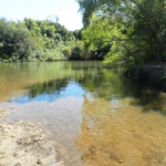 Arroyo Rocha no está apto para baño en La Estiva