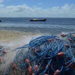 Se abrió la temporada de pesca del camarón