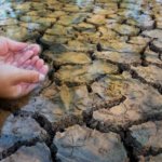 BPS prorrogó el vencimiento de los aportes patronales rurales en 8 departamentos