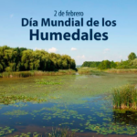 Día Mundial de los Humedales se conmemora en Potrero Grande