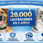 Bienestar Animal de Rocha lleva 28.000 castraciones en 5 años