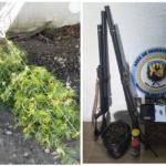 Boca de venta de drogas fue cerrada y requerido ubicado en Punta Rubia