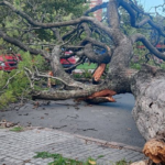 Ciclón extratropical causó estragos en varios departamentos de Uruguay