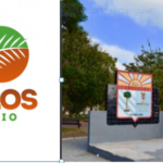 160 Años de Castillos, el Latido de los Palmares