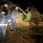 Bomberos intervinieron por voladuras de techos y caídas de árboles en Montevideo, Canelones, Maldonado y Rocha