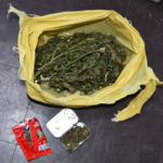 Un individuo fue detenido en La Paloma con marihuana y herramientas manuales