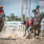 Este domingo habrá 10 carreras en el Hipódromo de Rocha