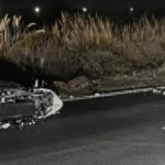 Un motociclista se encuentra en el CTI tras impactar con un perro
