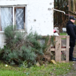 Policía detuvo al delincuente que atacó a balazos a una mujer en el barrio Lavalleja de Rocha