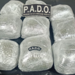 Personal del PADO incautó casi tres kilos de marihuana en Chuy