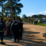 Personal policial prestó colaboración para retiro de animales en La Paloma