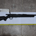 Policía Rural ubica un arma de fuego que había sido hurtada en Montevideo
