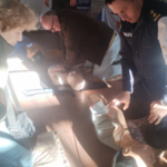 Personal de Policía Comunitaria participó de taller de primeros auxilios
