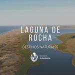 Progreso y naturaleza en la costa del Este: el puente necesario sobre la Laguna de Rocha