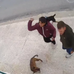 Impotencia: Denunciados andan en la calle, denunciantes encerrados