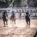 Este domingo habrá actividad hípica oficial en el Hipódromo de Rocha